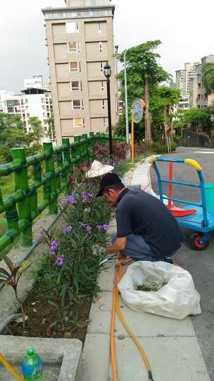 台北清潔案例-園藝種植
